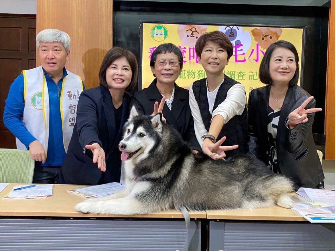 已融化!「哈士奇」現身立院 跨黨派立委搶拍