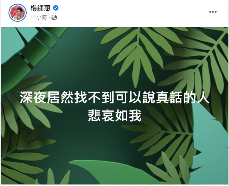 楊繡惠感嘆要聊天找不到人。(圖/翻攝自楊繡惠臉書)