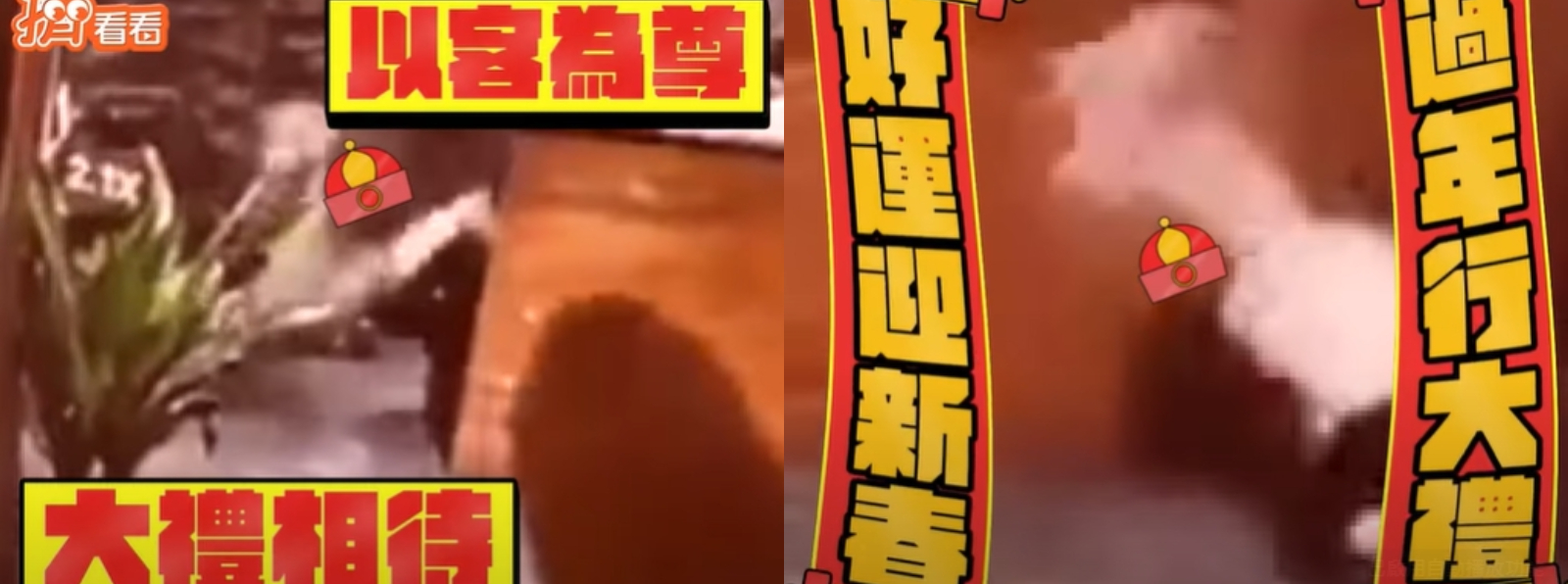 兩人五體投地跪趴的樣子,宛如過年行大禮。(圖/翻攝自爆料公社)