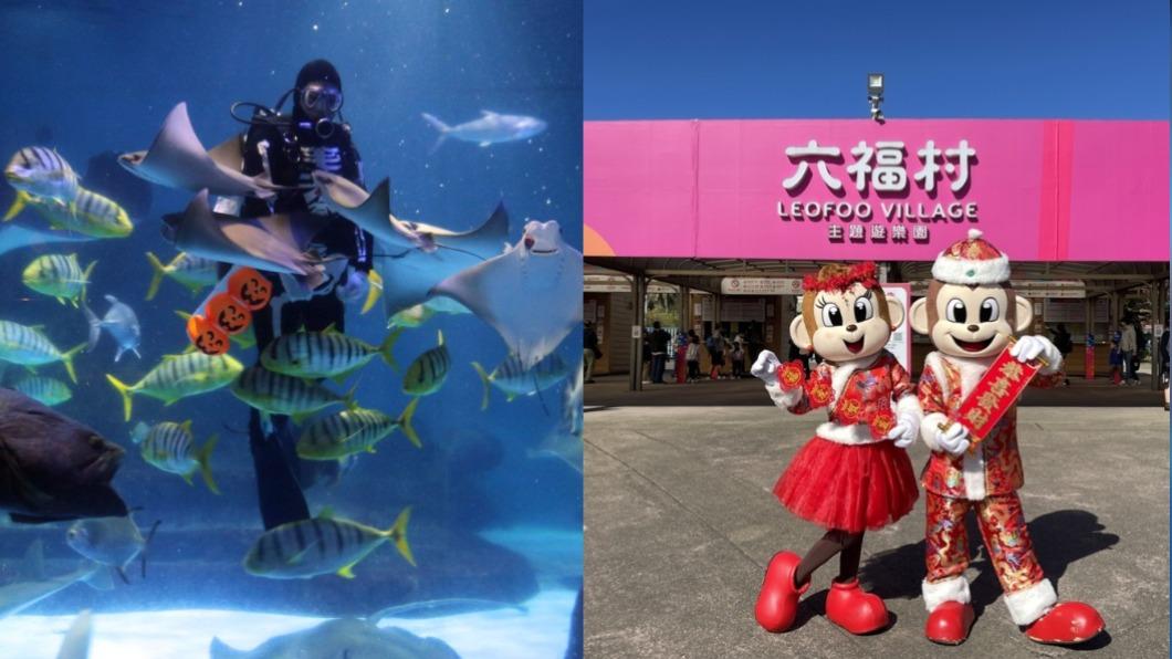 交出身分證!屬兔半價玩海洋公園 小人國、六福村小孩免費