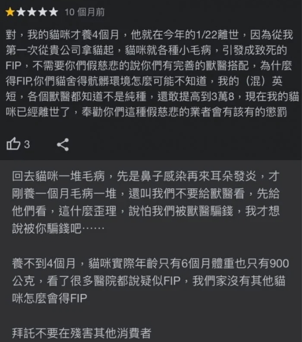 飼主爆料小貓買回去沒多久就病死。(圖/翻攝自Google地圖)