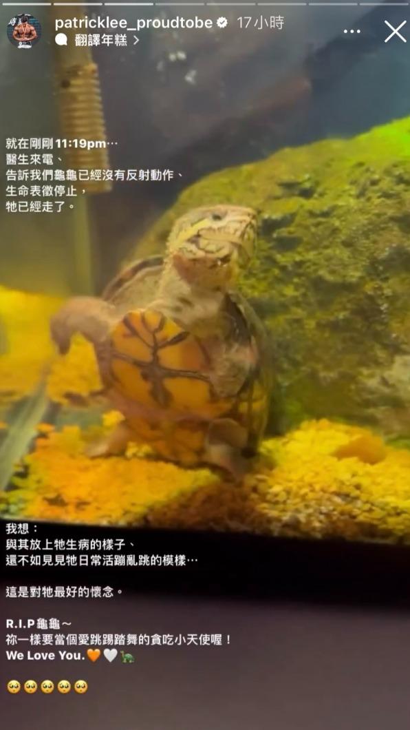 李沛旭證實龜龜已經過世。(圖/翻攝自李沛旭IG)