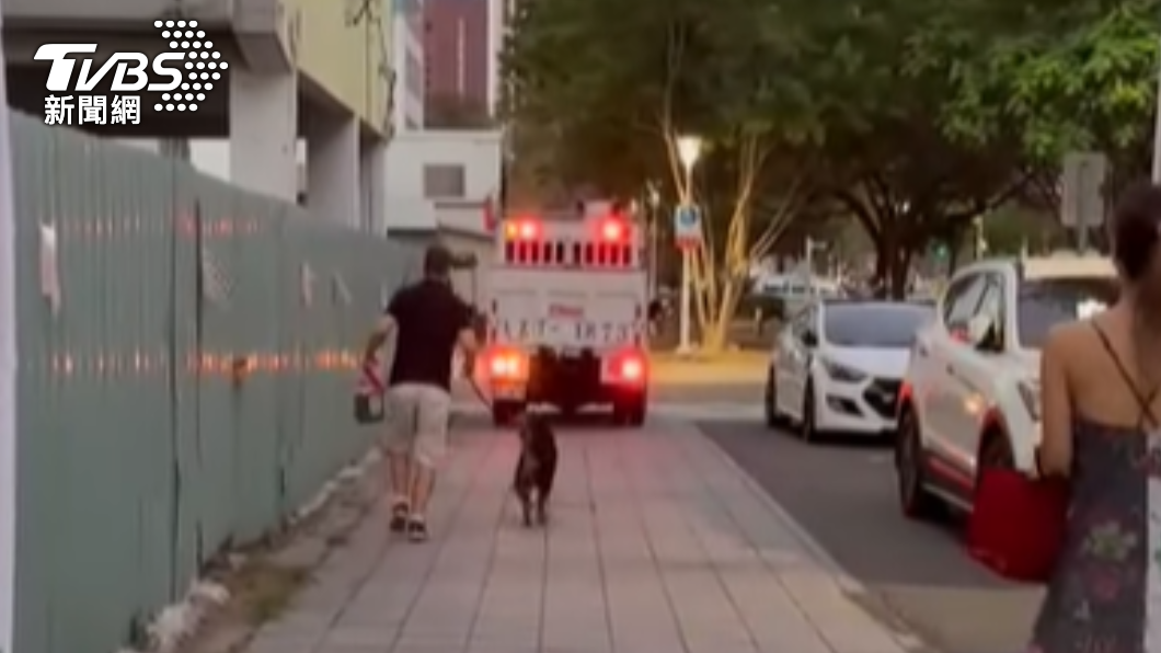 嗚嗚別丟下我！長毛小黑不知已領養 拉新飼主狂追收容車