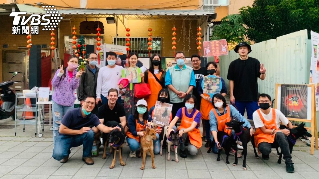 幫6位成犬找新家/高雄市動保處提供