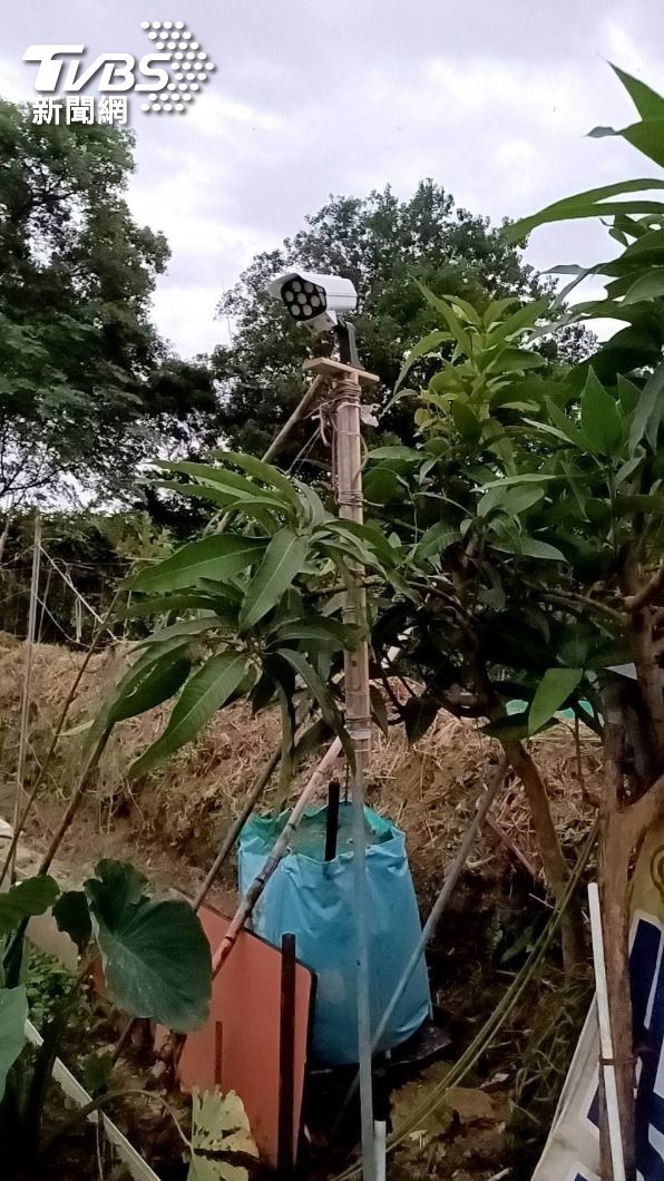 裝設監視器要抓賊也被連根拔走