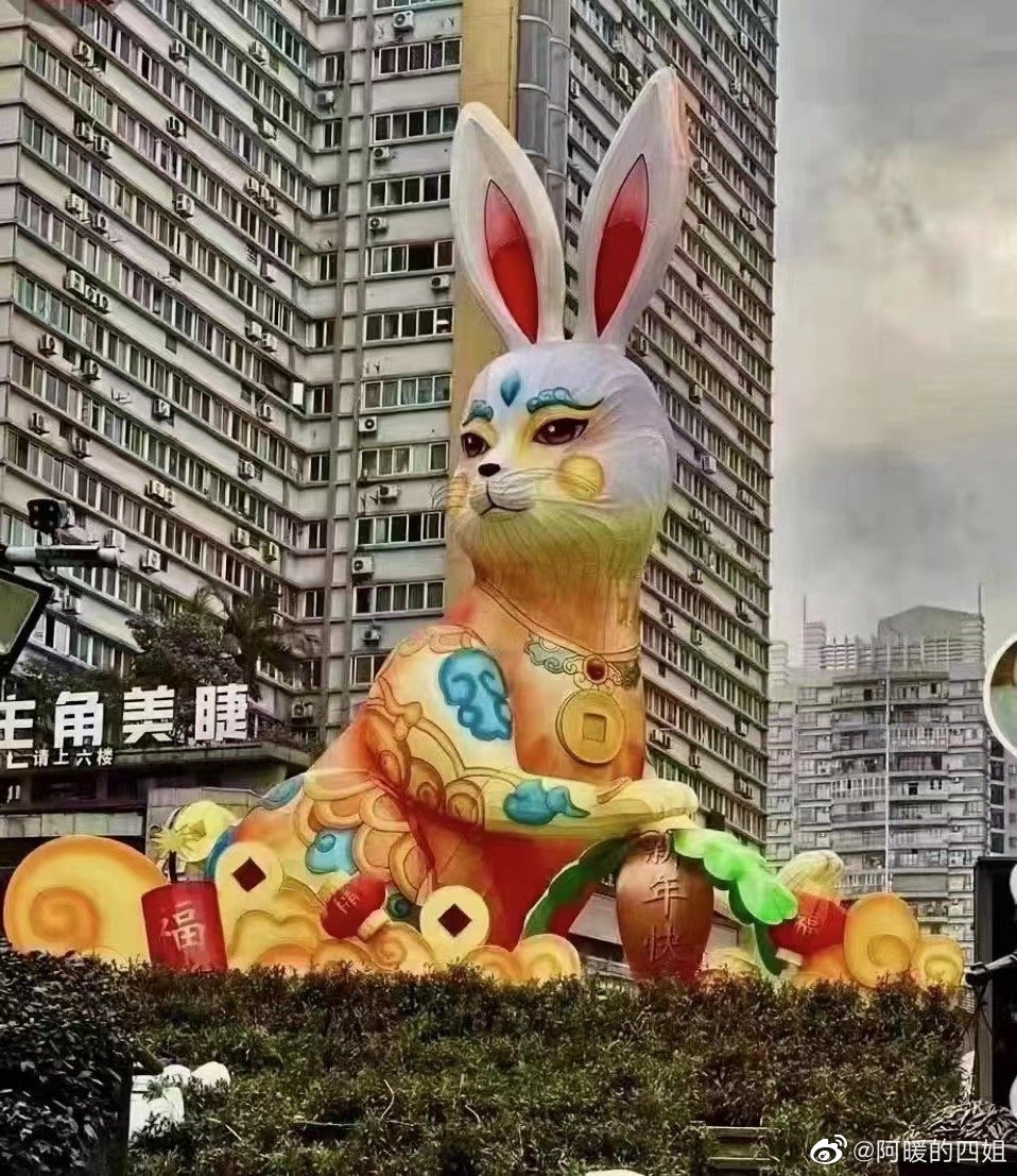兔子炯炯有神。(圖/翻攝自微博)