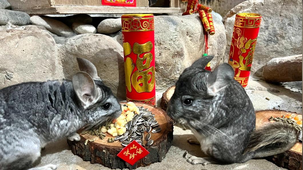 壽山動物園除夕休園 動物「圍爐」同享年節氣氛