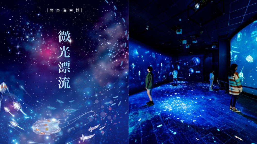 屏東海生館沉浸式體驗 「微光漂流」供民眾認識海洋樣貌