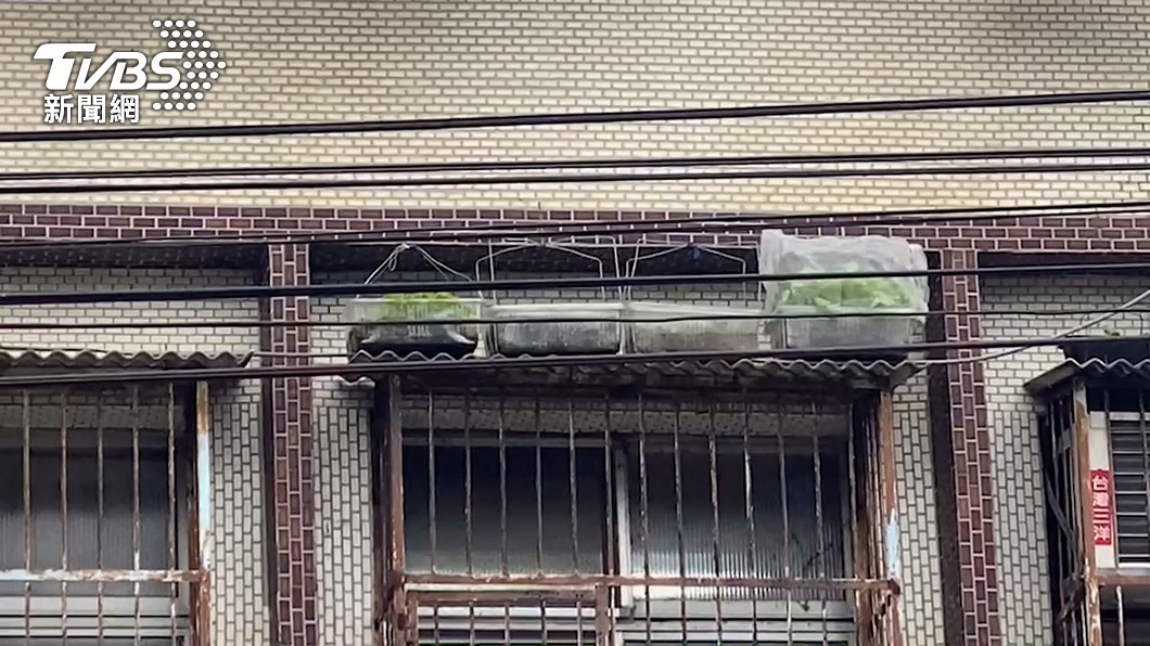 圖／TVBS
