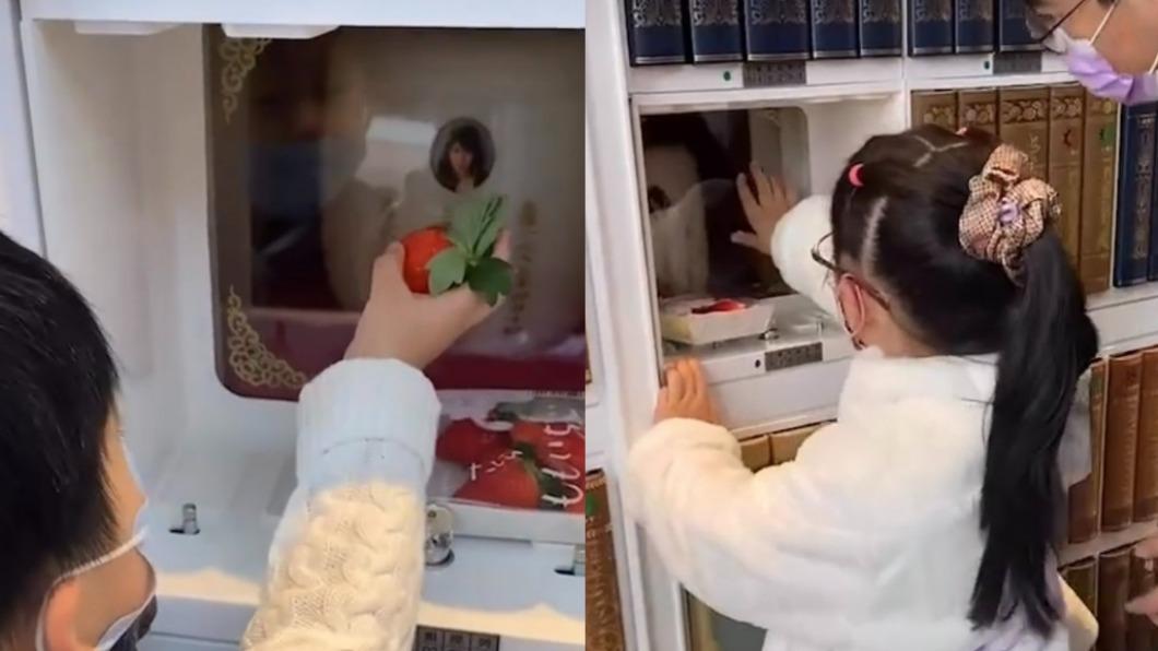 除夕想余苑綺了!愛女童言「媽媽新年快樂」 兒子靈前餵草莓惹鼻酸