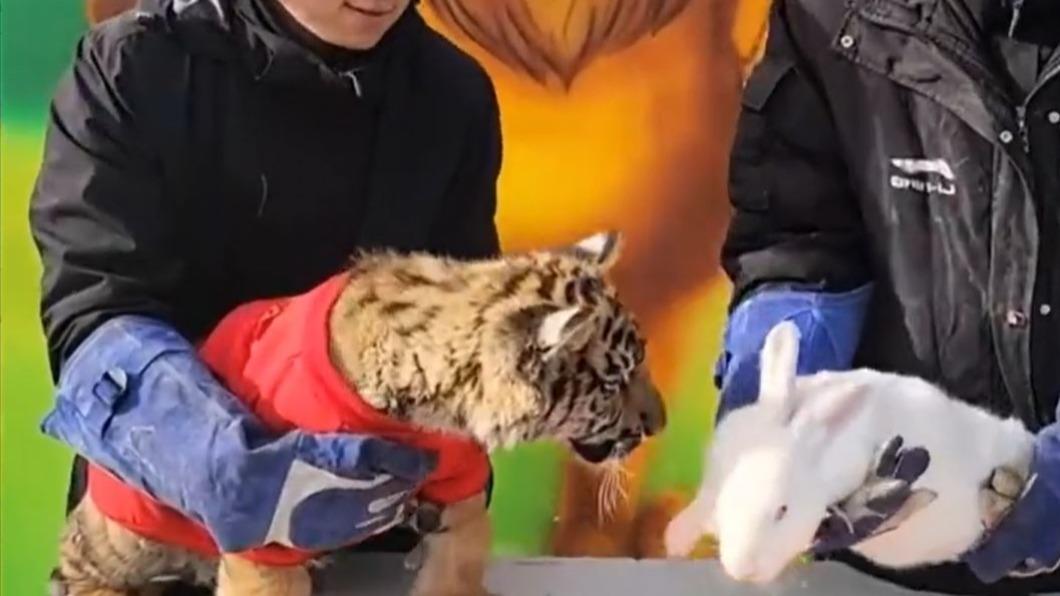 圖/翻攝自微博