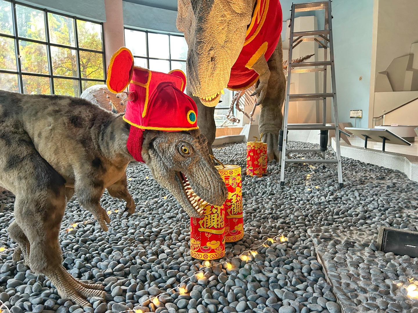 小恐龍頭上戴著米奇帽。(圖/翻攝自國立自然科學博物館 National Museum of Natural Science臉書)