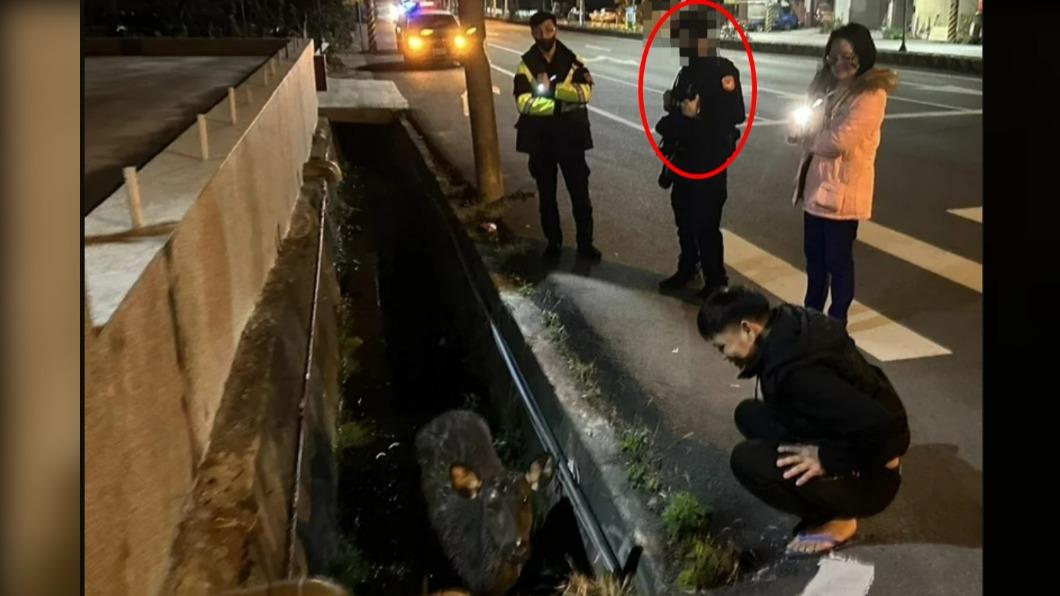 高偉倫前一天才處理水鹿跌水溝的意外。(圖/民眾提供)