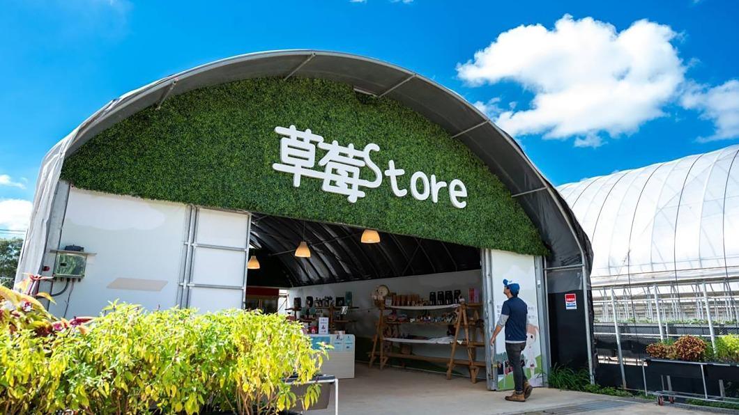 新纖異業合作打造草莓學校 從吃到學一地包辦