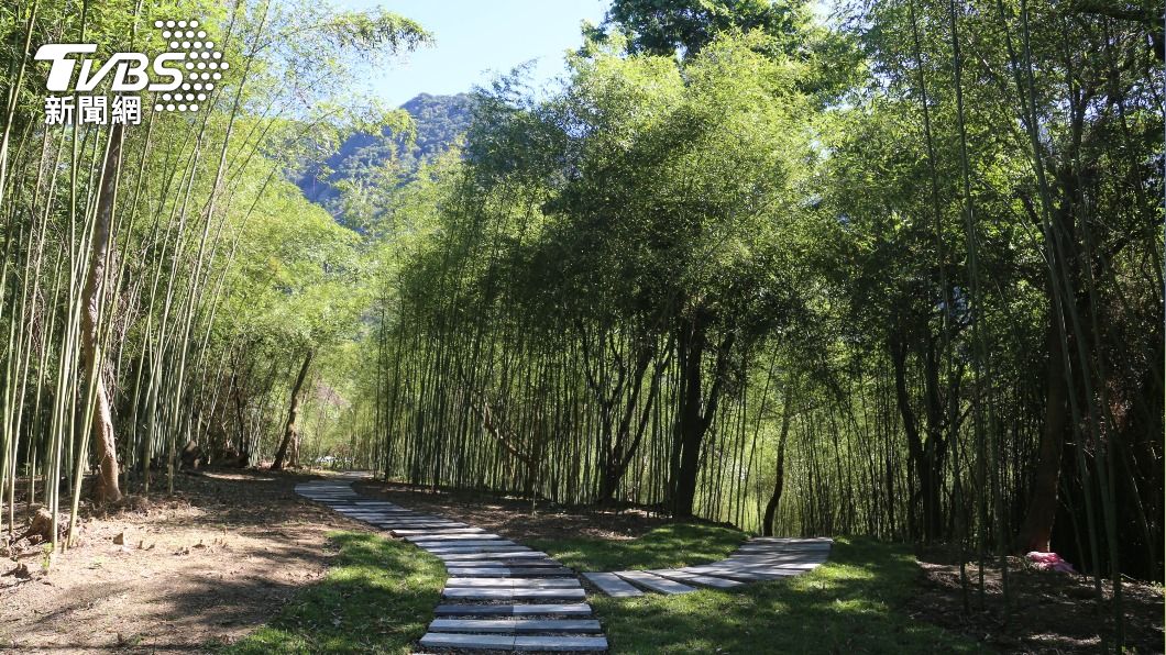 花蓮富里隱世秘境 宛如電影「臥虎藏龍」場景
