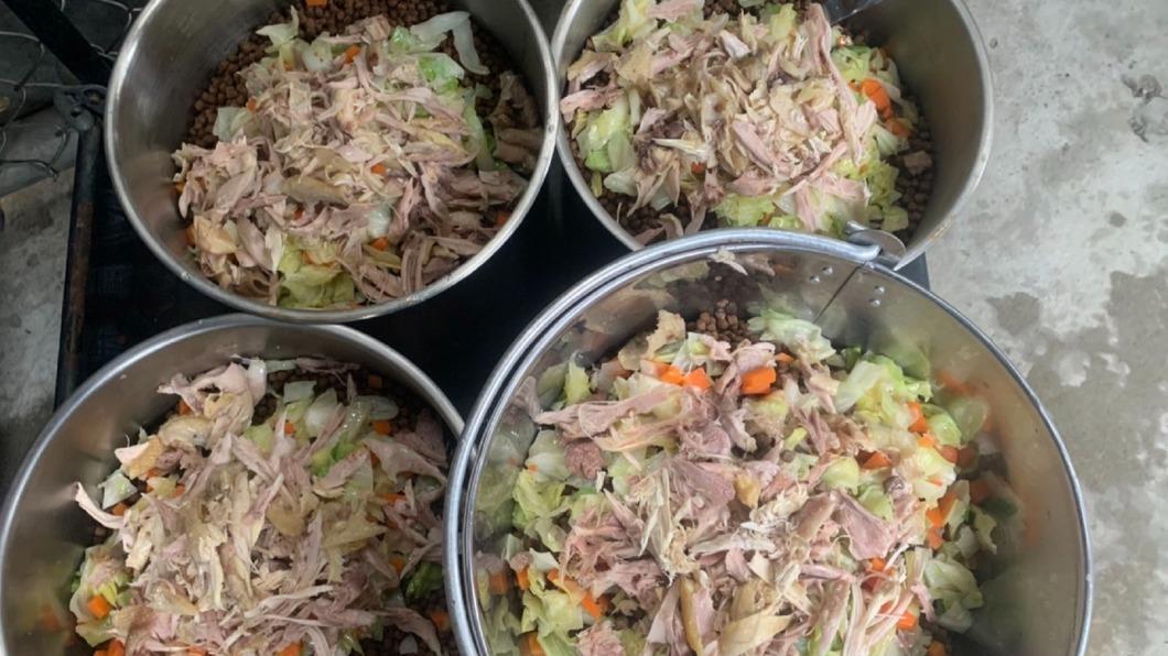 毛孩子也要年夜飯　新北動物之家加菜添喜氣