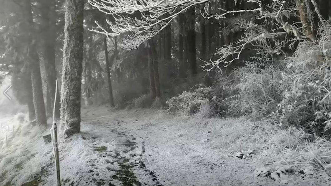 快訊/銀白南橫!向陽-栗園路段下雪了 偽出國美景曝