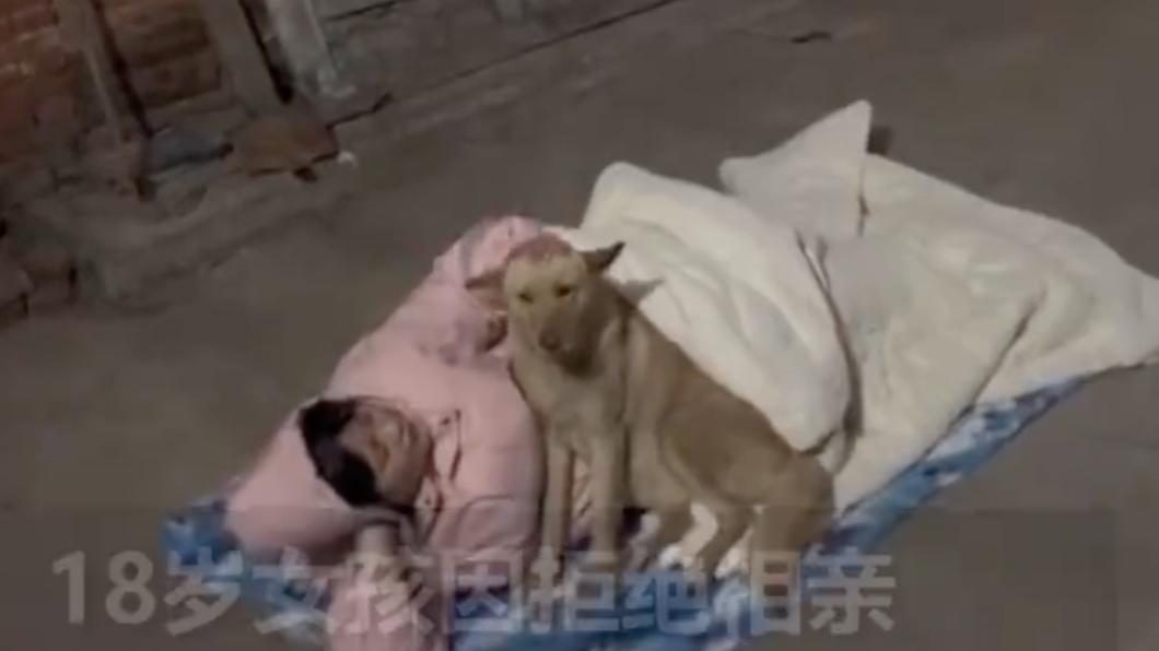過年被催婚陸女拒相親 竟被轟出家門陪狗睡