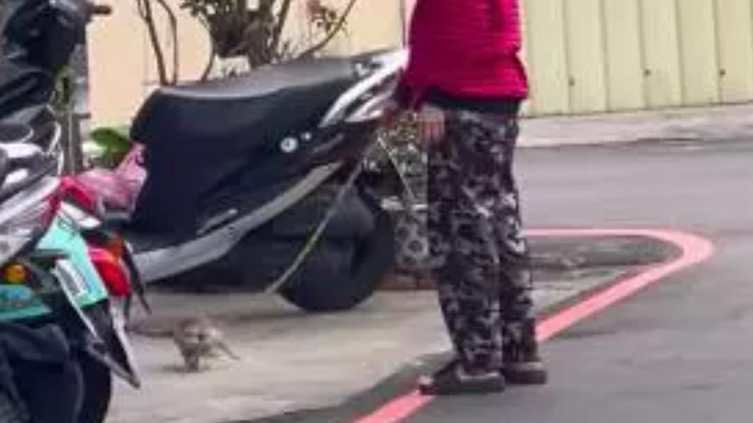 男逛百貨突被暴衝狐獴咬 飼主「看完就跑」不只一人受害