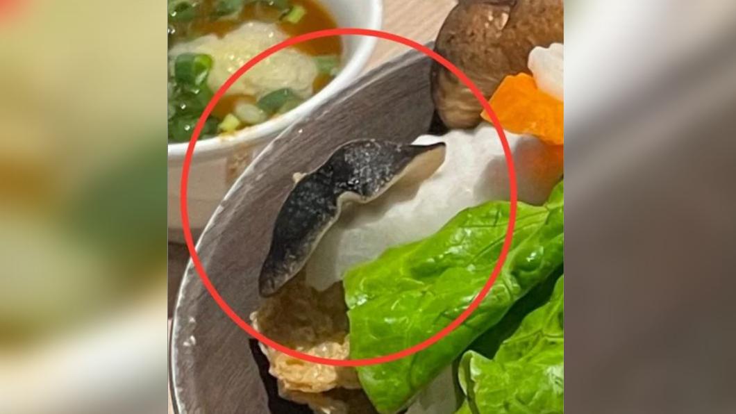 火鍋菜盤驚見蠕動「肥蛞蝓」差點吞下肚! 業者躲2天才回應