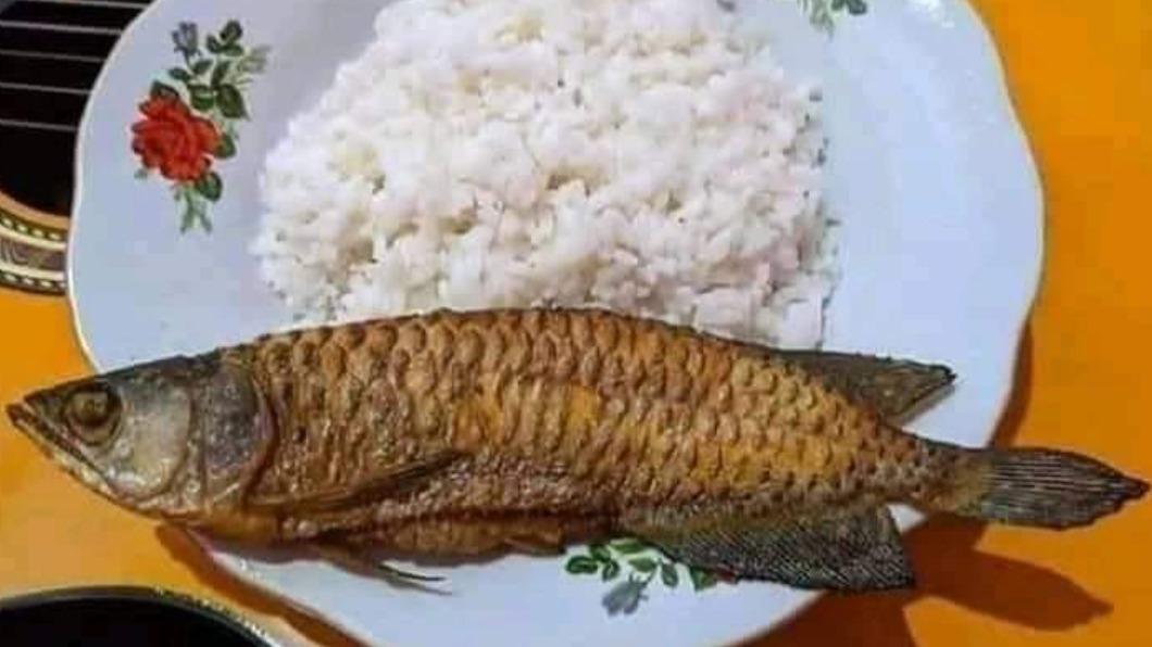 南巴罕的兒子從廚房中端出1條煎魚，他一看就知道是自己的寶貝。（圖／翻攝自「Kelantan」臉書）