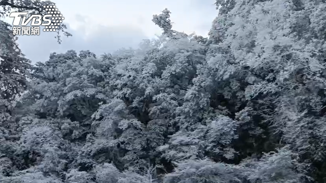 全台氣溫急速下降。(圖/TVBS)