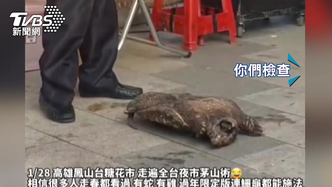 圖／翻攝自社會事新聞影音