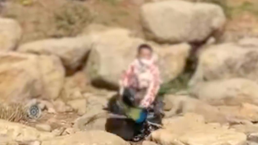 有片/想摔角? 男童闖動物園區猛摔孔雀還拔毛遭網公審
