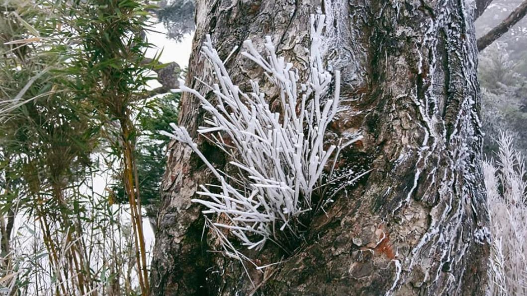 吳德發將美景拍下PO網。(圖/翻攝自屏東林區管理處北大武山資訊站臉書)