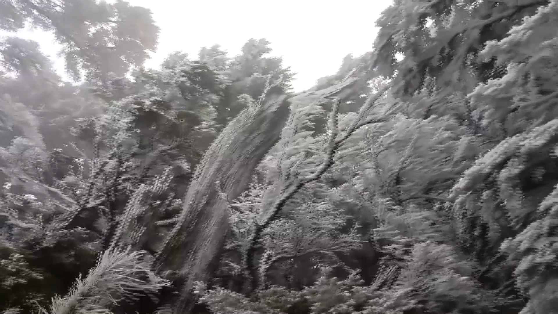 圖／吳德發提供