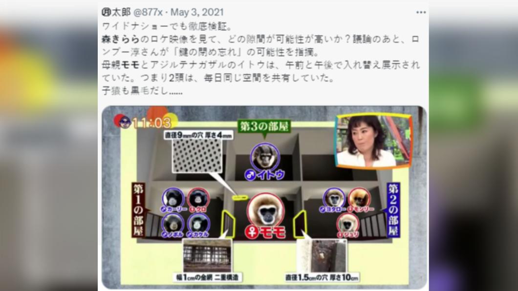 MOMO孩子的爸到底是誰,當時引發許多猜測。(圖/翻攝自推特)