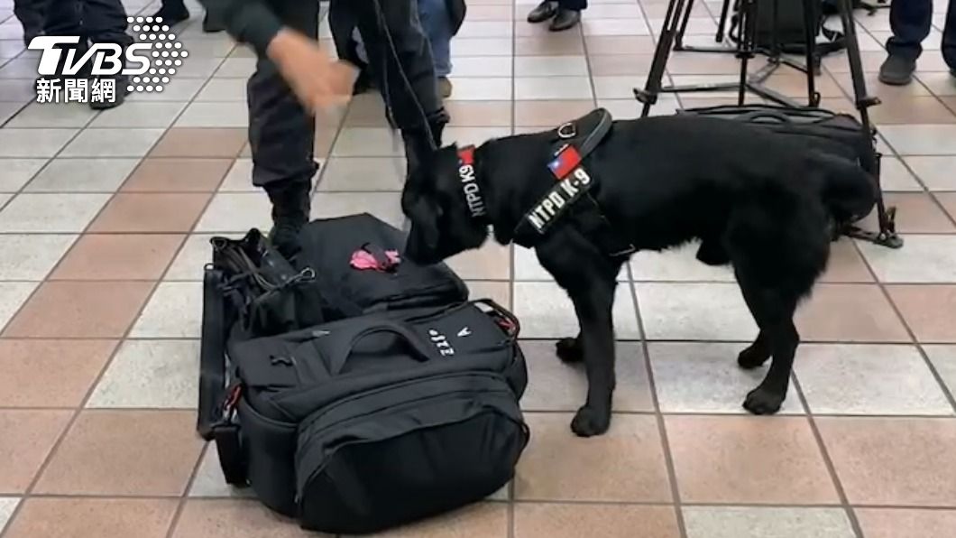 警犬福星也來幫忙!燈會捷運人次恐爆量 警大陣仗維安