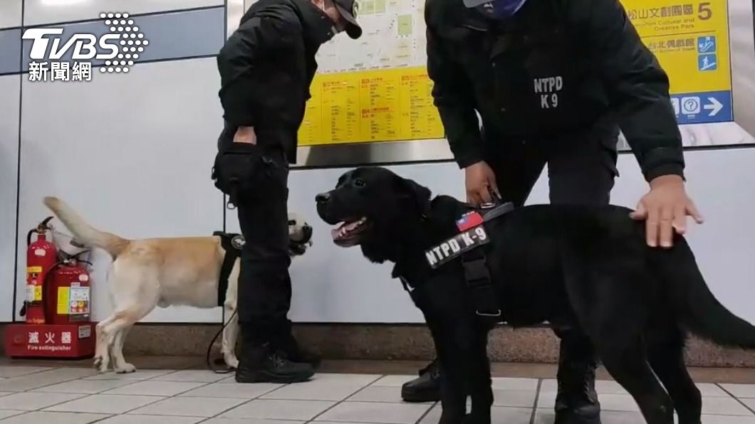 4隻偵蒐犬到北捷維安。（圖／TVBS）