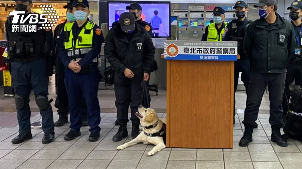 警犬協助提升安全維護。（圖／TVBS）