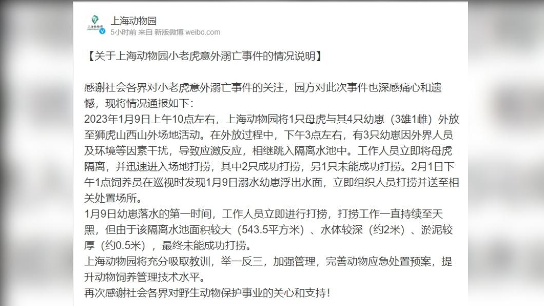 上海動物園今(2)日證實小老虎溺斃的消息。(圖/翻攝自上海動物園微博)