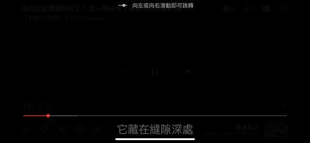 原PO指出畫面雖然黑掉,但影片卻是正常播放。(圖/翻攝自PTT)