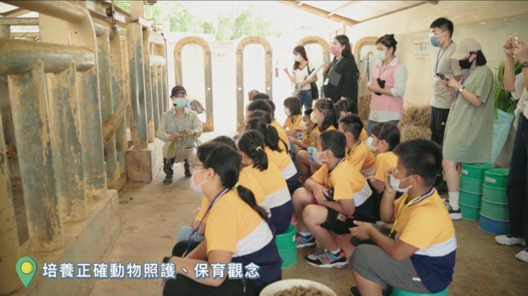 「小小動保達人獎」培養小朋友保育觀念。(圖/六福旅遊集團提供)