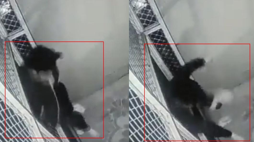 圍欄突鬆脫!20歲考生「6樓墜落摔死」 驚悚一瞬間全錄