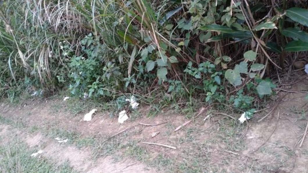 虎頭山滿地衛生紙 她怒譙「女性山客」挨轟歧視