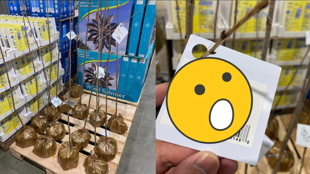好市多開賣「會開花的天線」！結帳店員傻眼反問：這什麼