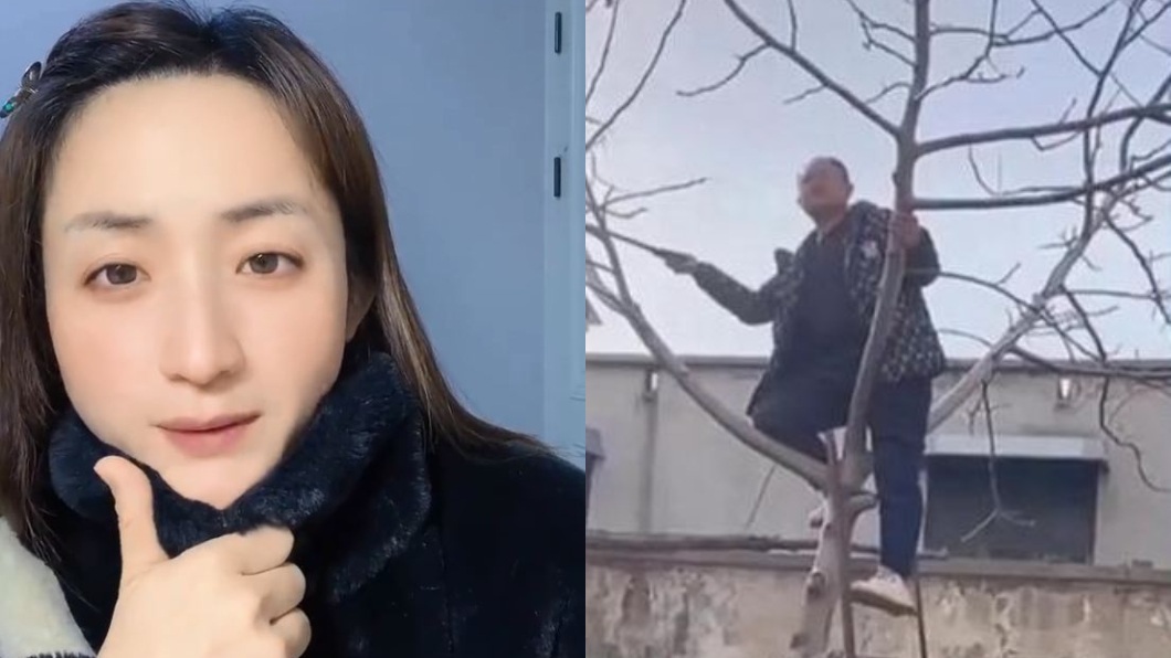 女子家人為了和她順利嫁出去還把老家核桃樹砍了。（圖／翻攝自微博）