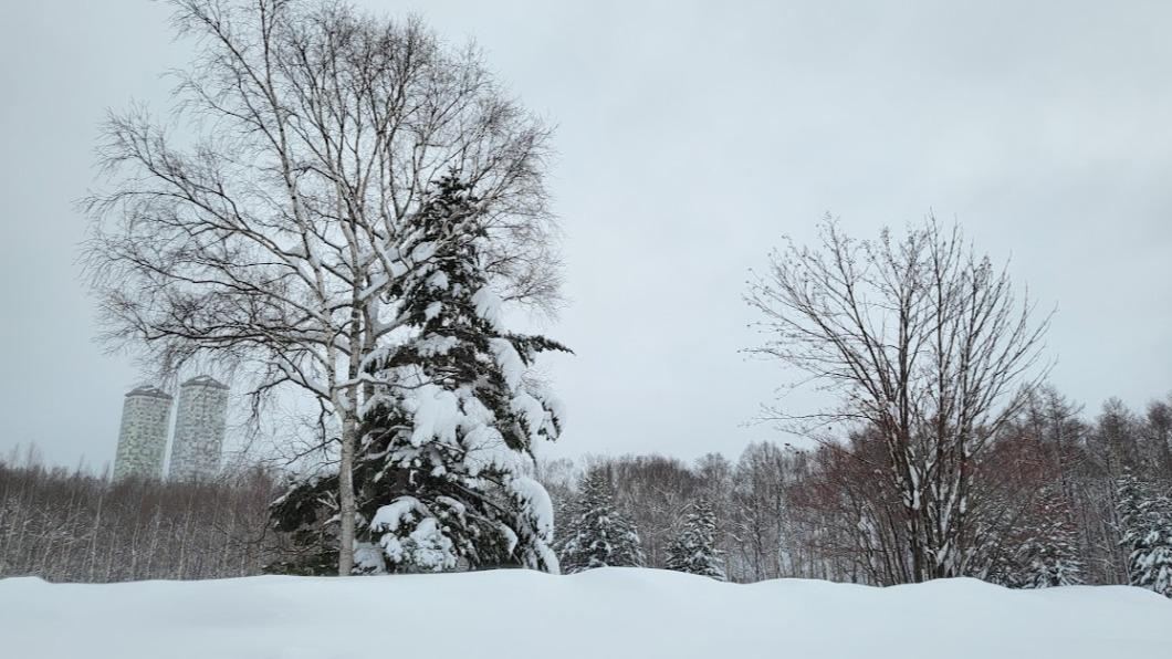 怎拍都美! 北海道冬季各地雪景風情讓人流連忘返