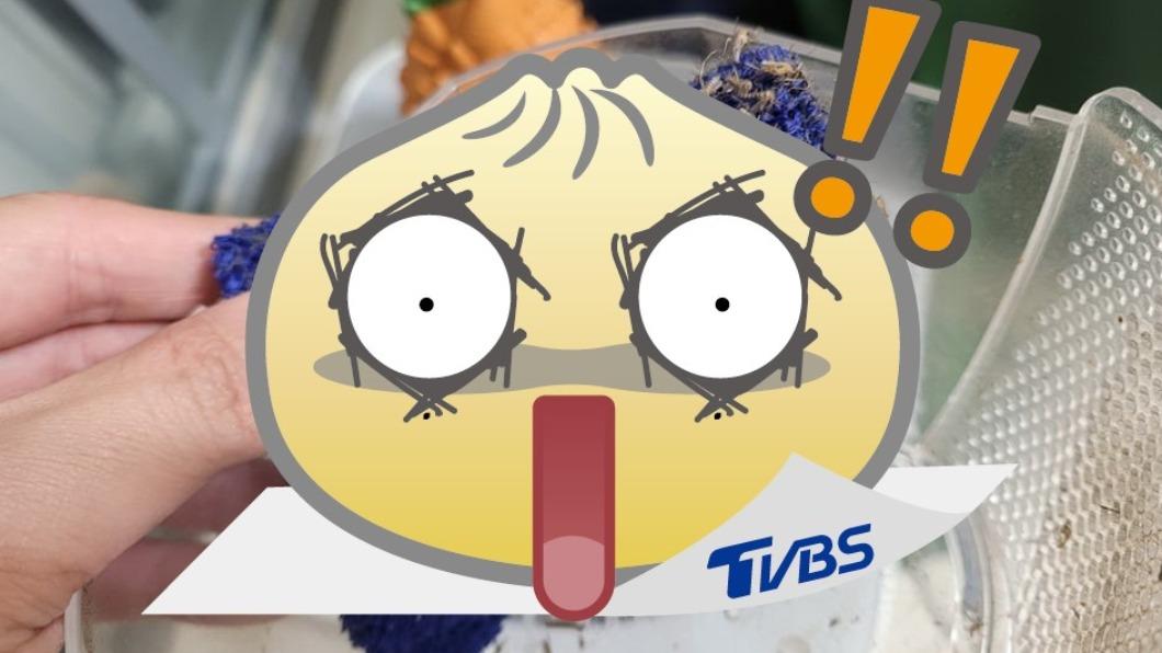好市多捕蚊神器!內行曬「蚊屍照」驚吐:效果好到嚇死人