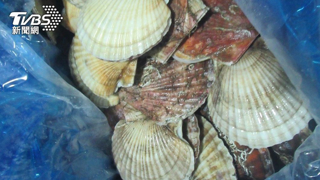 北海道進口的「扇貝」檢出重金屬鎘。（圖／食藥署提供）