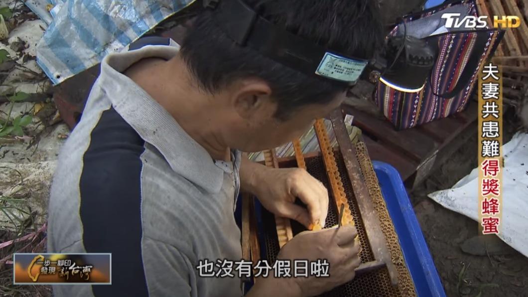 移植蜜蜂幼蟲