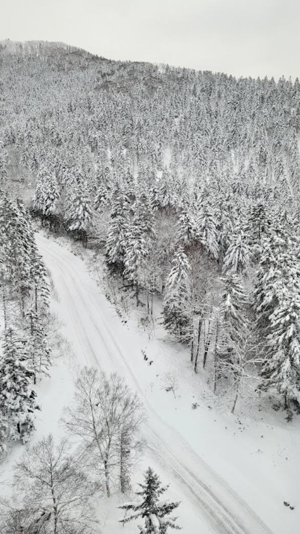 TOMAMU的山景。(圖 / TVBS)