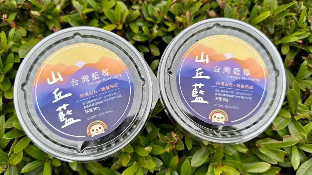 阿里山下栽種在地藍莓。(圖/業者提供)