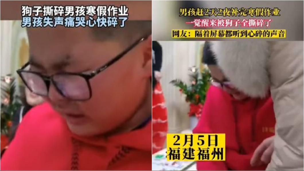 男孩絕望大哭。(圖/翻攝自《河南新聞廣播》)