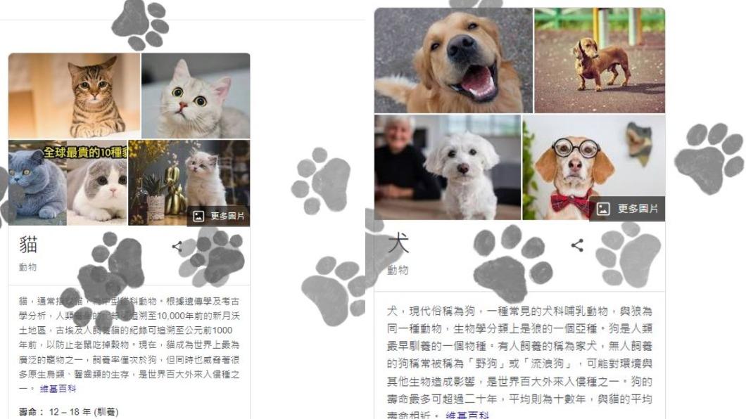 若輸入狗或貓,也會出現相當可愛的特效及音效。(圖/翻攝自Google)