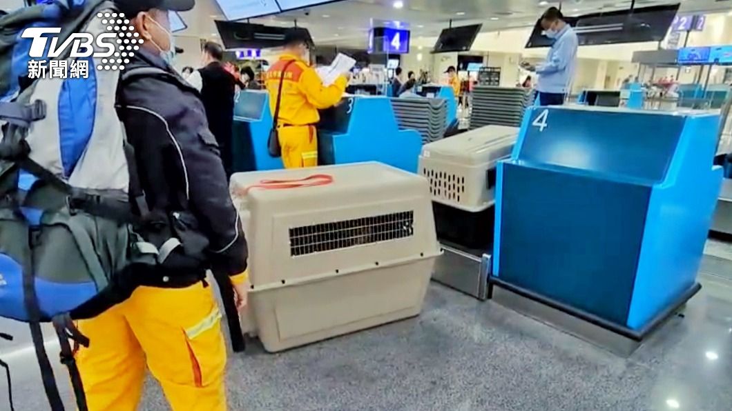 台灣搜救隊6日晚間搭機前往土國協助救災，同時攜帶搜救犬協助任務。（圖／中央社）